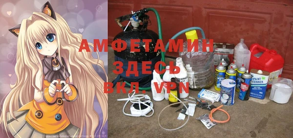 стаф Дубна