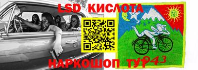 гидропоника Ирбит