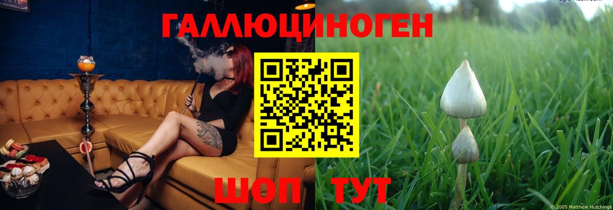 Краснодар  где продают   Вход с VPN  Псилоцибиновые грибы мицелий 
